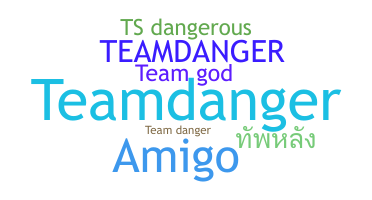 الاسم المستعار - TeamDanger