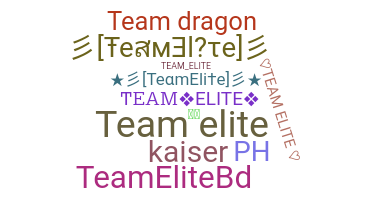 الاسم المستعار - TeamElite