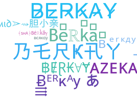 الاسم المستعار - Berkay