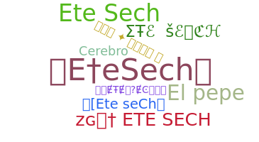 الاسم المستعار - Etesech