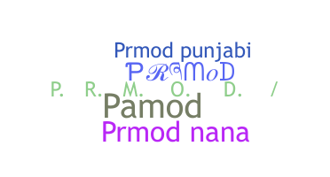 الاسم المستعار - Prmod