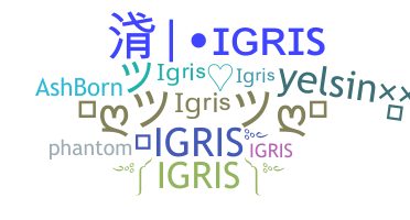 الاسم المستعار - igris