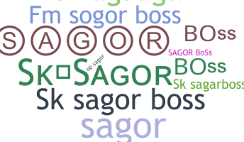 الاسم المستعار - SksagorBoss