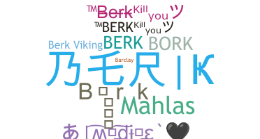 الاسم المستعار - Berk