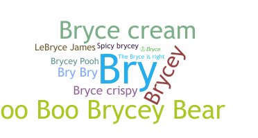 الاسم المستعار - Bryce