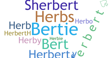 الاسم المستعار - Herbert