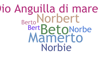 الاسم المستعار - Norberto