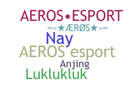 الاسم المستعار - Aeros