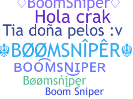 الاسم المستعار - BoomSniper
