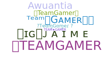 الاسم المستعار - TeamGamer