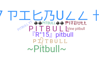 الاسم المستعار - PitBull