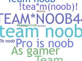 الاسم المستعار - TeamNoob