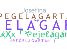 الاسم المستعار - Pejelagarto
