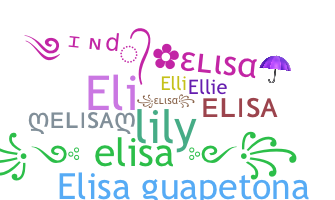 الاسم المستعار - Elisa