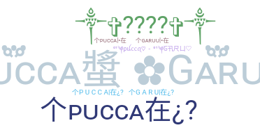 الاسم المستعار - PuccaGaru