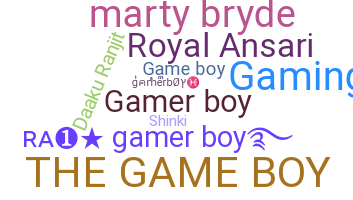 الاسم المستعار - gamerboy
