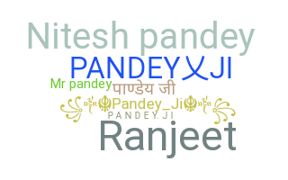 الاسم المستعار - PandeyJi