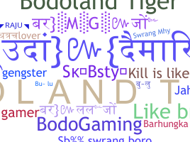 الاسم المستعار - Bodoland