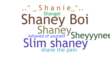 الاسم المستعار - Shane