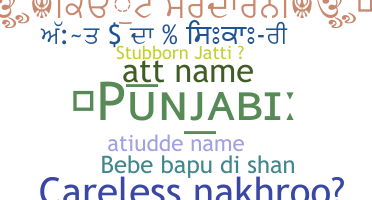 الاسم المستعار - Punjabi