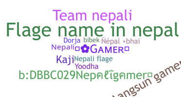 الاسم المستعار - Nepaligamer