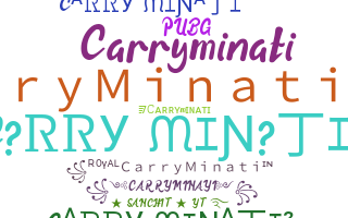 الاسم المستعار - CarryMinati