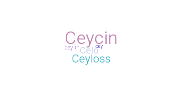 الاسم المستعار - Ceylin