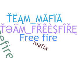 الاسم المستعار - TeamFreeFire
