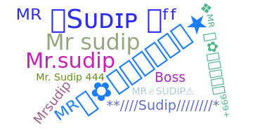 الاسم المستعار - MRSUDIP