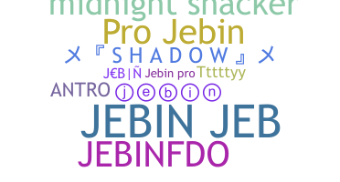 الاسم المستعار - Jebin