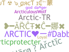 الاسم المستعار - Arctic