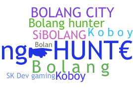 الاسم المستعار - Bolang
