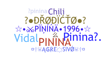 الاسم المستعار - Pinina