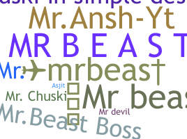 الاسم المستعار - mr.beast