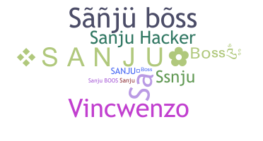 الاسم المستعار - sanjuboss