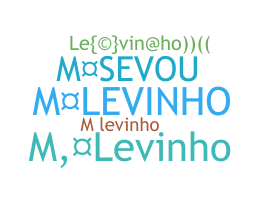 الاسم المستعار - levinho