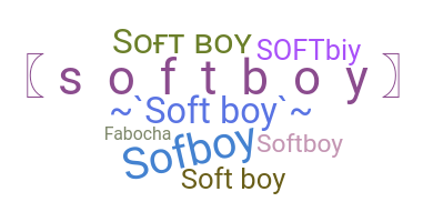 الاسم المستعار - softboy
