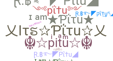 الاسم المستعار - pitu