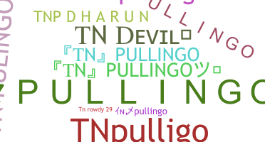 الاسم المستعار - TNpullingo