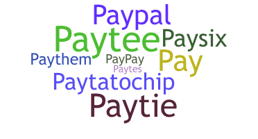 الاسم المستعار - Payten