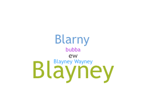 الاسم المستعار - Blayne
