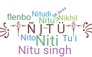 الاسم المستعار - nitu