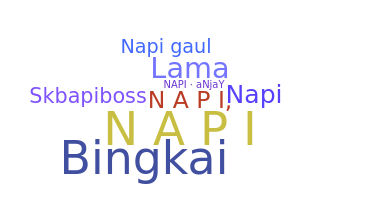 الاسم المستعار - napi