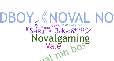 الاسم المستعار - Noval