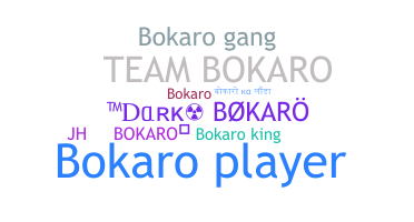 الاسم المستعار - bokaro
