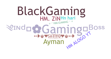 الاسم المستعار - HMGaming