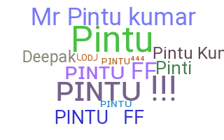 الاسم المستعار - Pintukumar