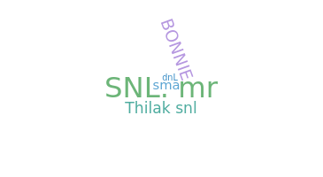 الاسم المستعار - SNL