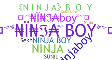 الاسم المستعار - NinjaBoy