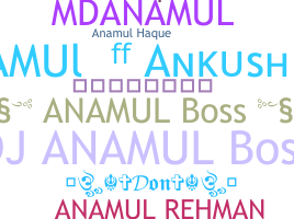 الاسم المستعار - Anamul